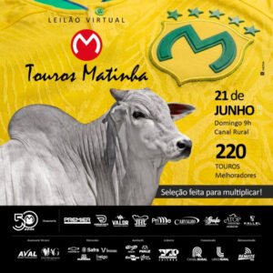 leilao-virtual-touros-matinha
