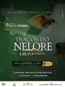 leilao-virtual-tracos-do-nelore-grupo-costa-etapa-mato-grosso