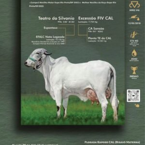 Pacote 23 – Pena Fiv Cal