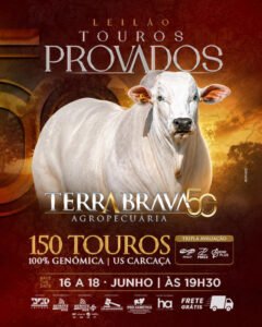 touros-provados-terra-brava-agropecuaria-3-etapa