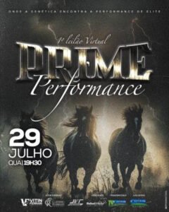 1-leilao-virtual-prime-performance