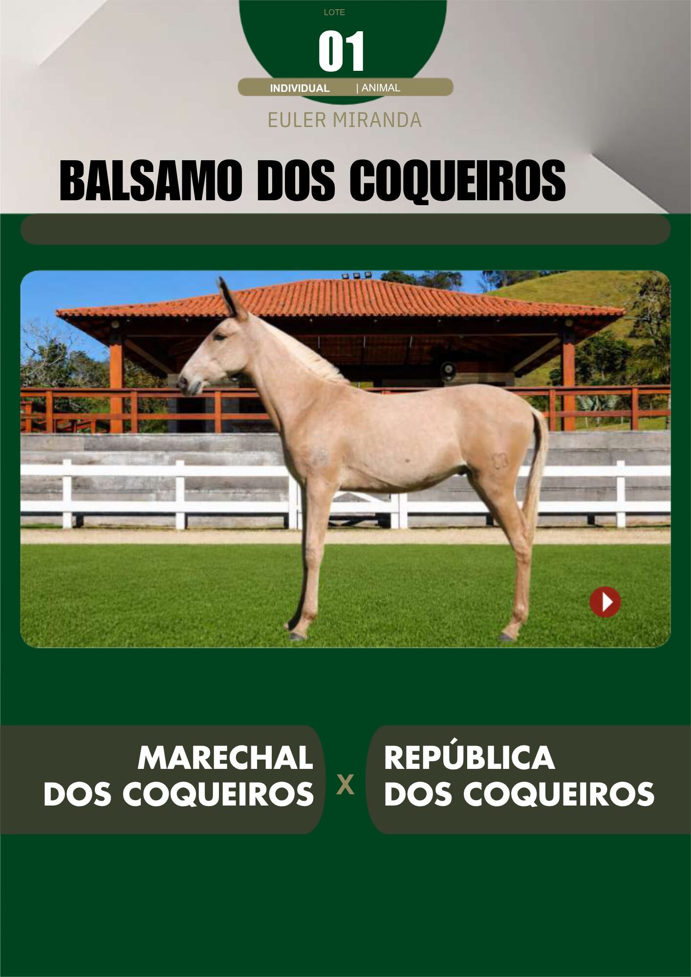 Lote 01 – BALSAMO DOS COQUEIROS - Imagem 2