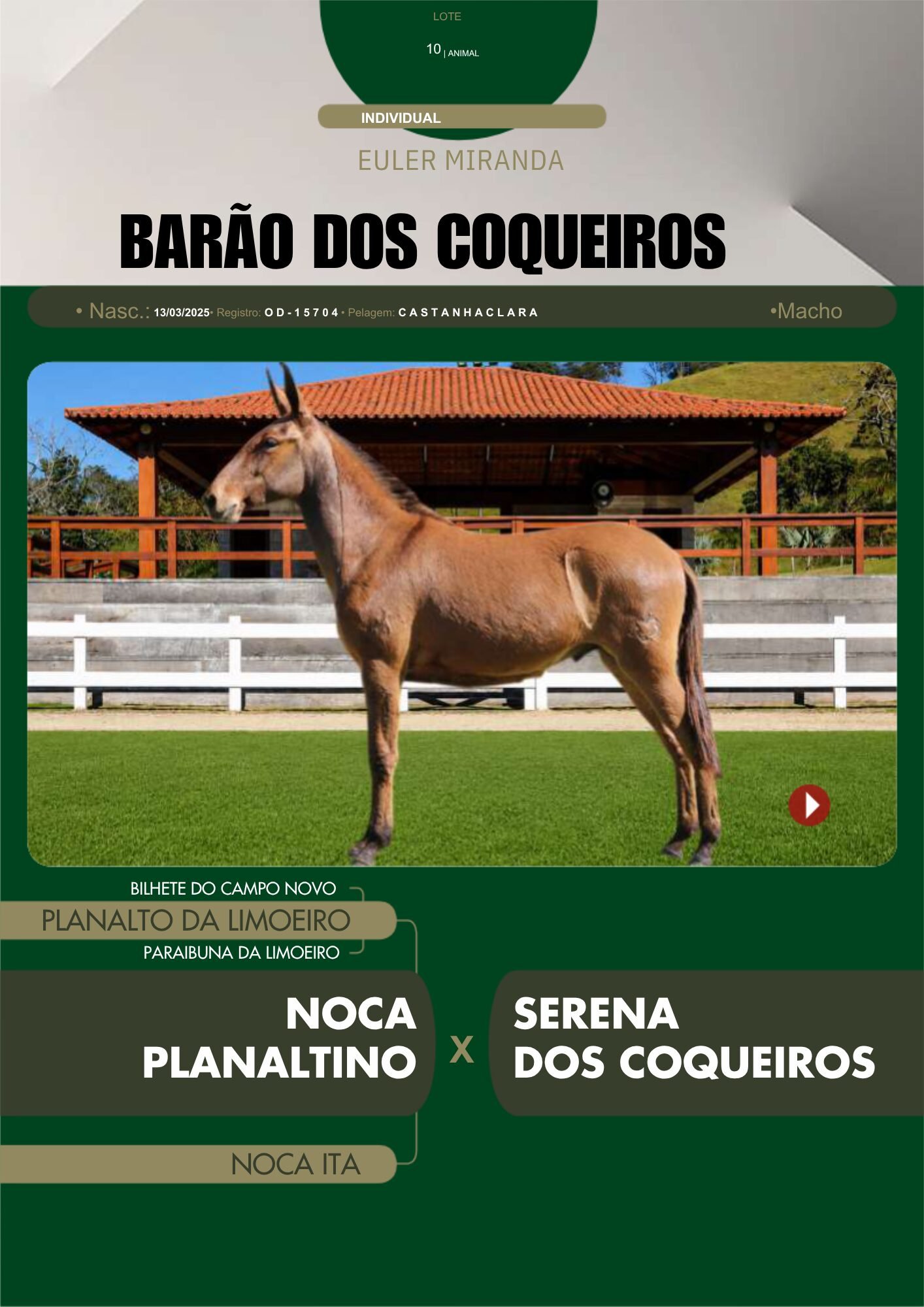 Lote 10 – BARÃO DOS COQUEIROS - Imagem 2