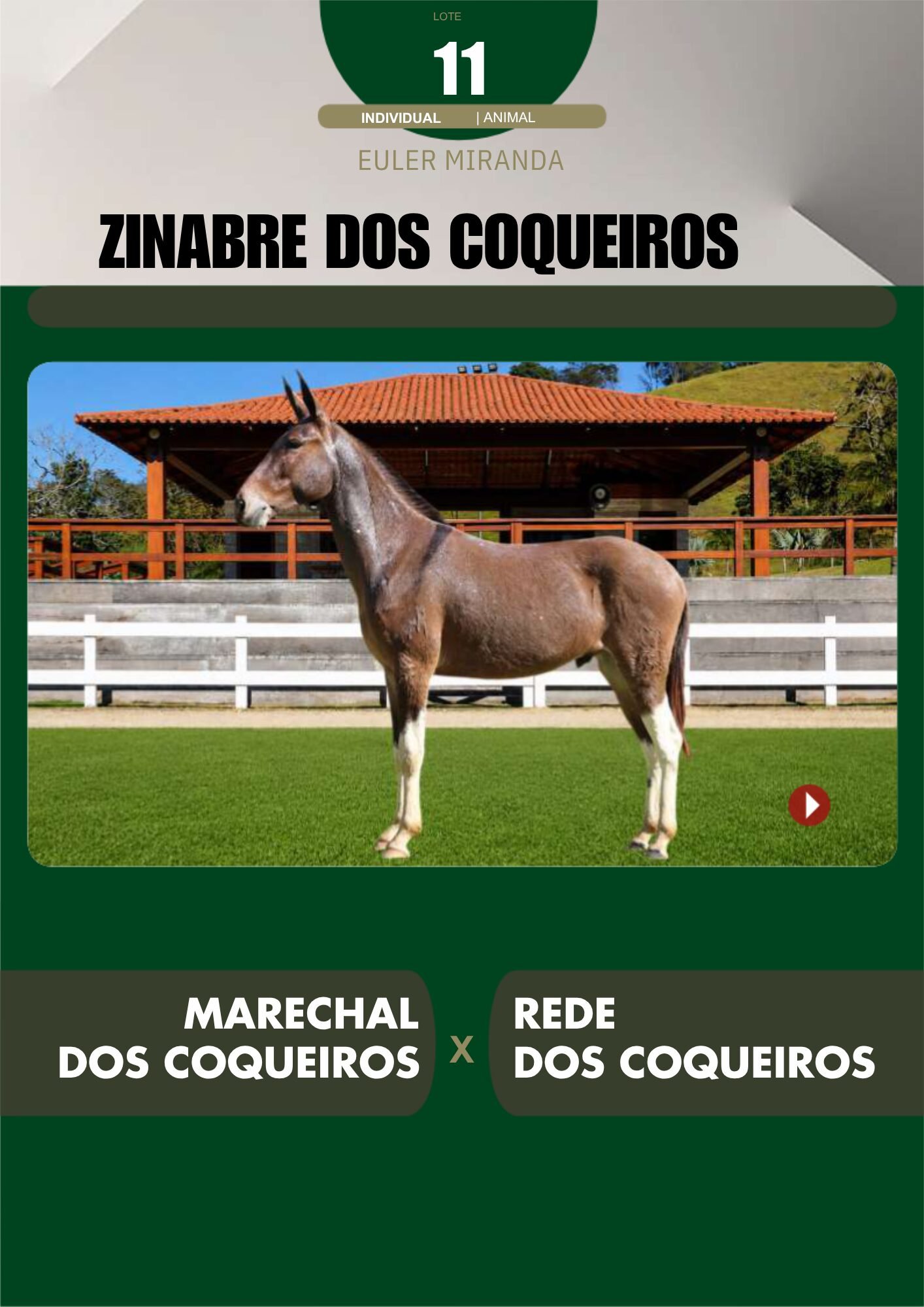 Lote 11 – ZINABRE DOS COQUEIROS - Imagem 2