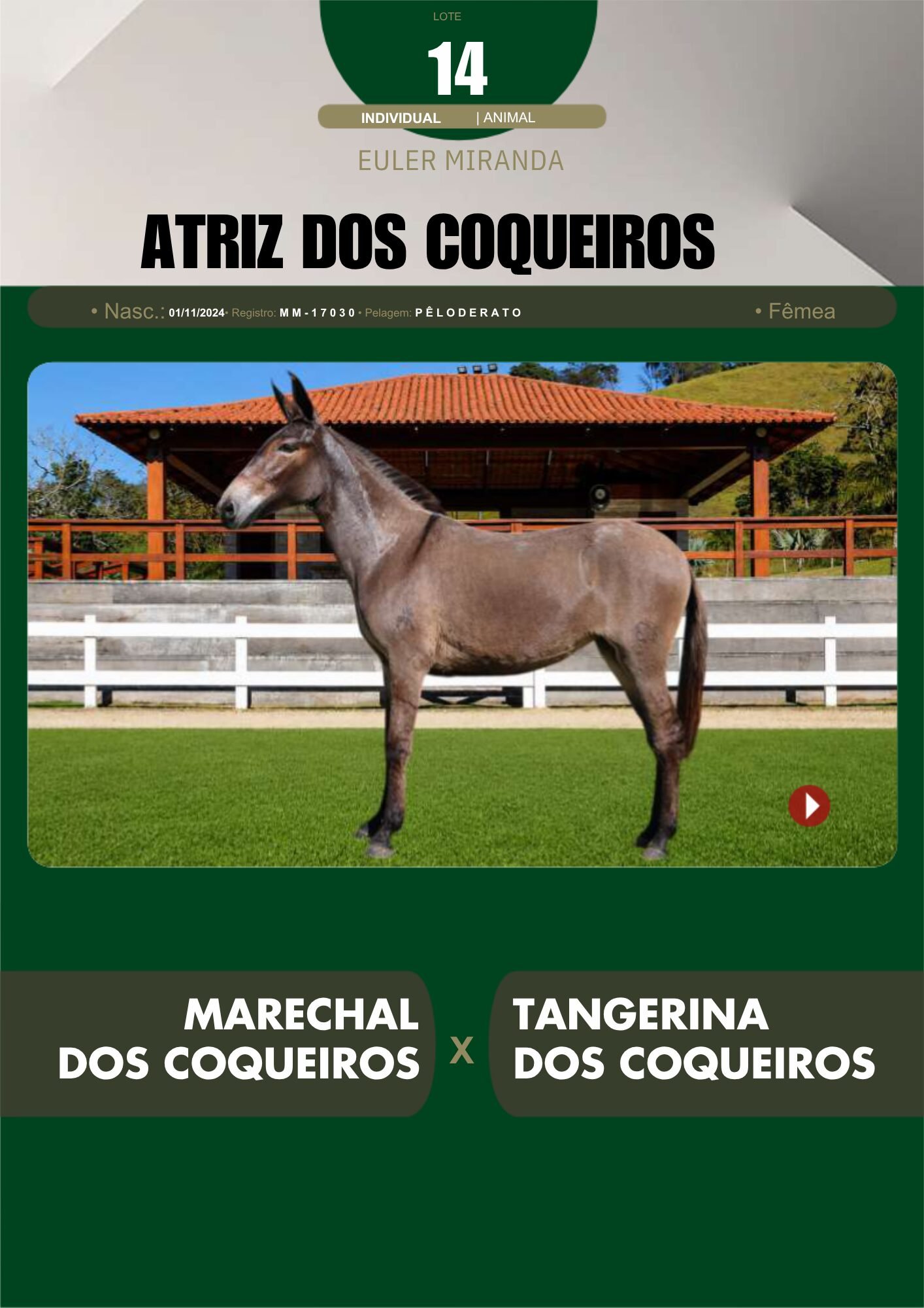 Lote 14 – ATRIZ DOS COQUEIROS - Imagem 2
