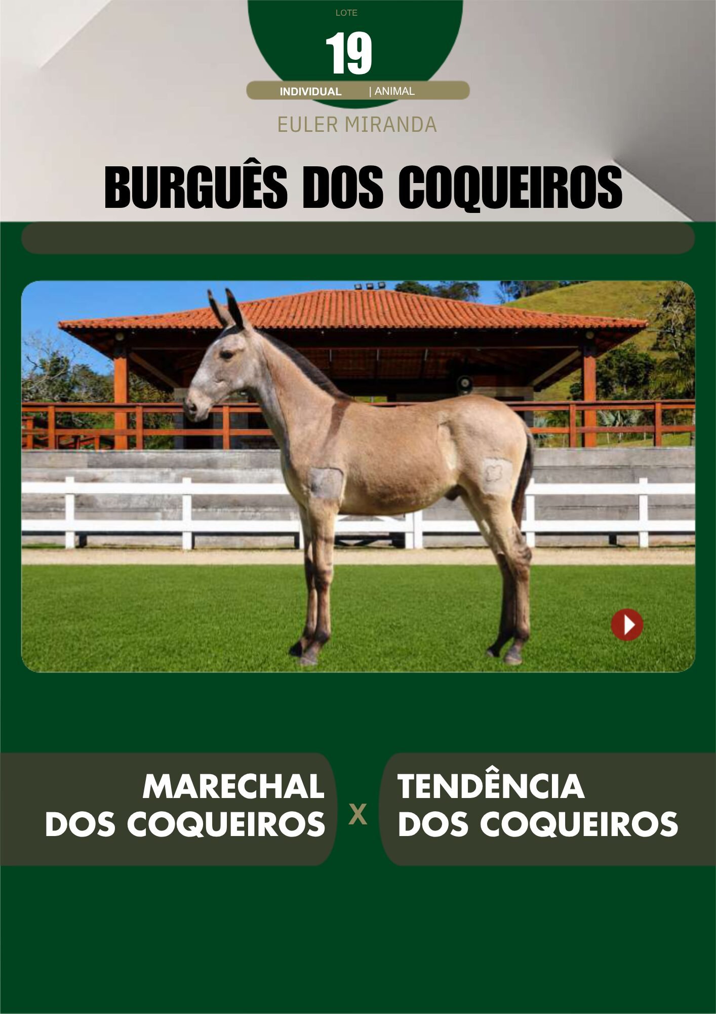 Lote 19 – BURGUÊS DOS COQUEIROS - Imagem 2