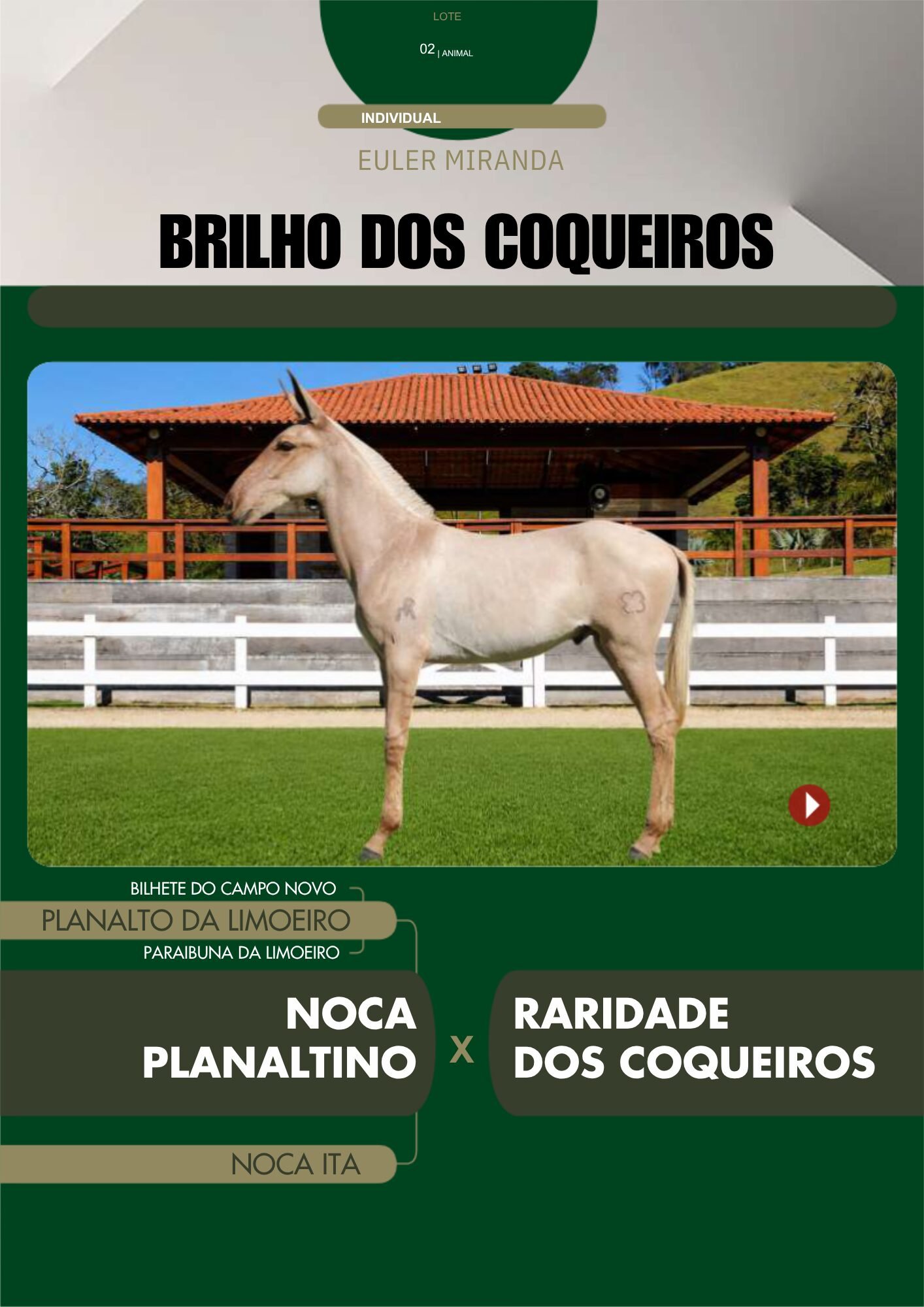 Lote 02 – BRILHO DOS COQUEIROS - Imagem 2