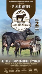 2-leilao-virtual-fazenda-agulhas-negras-girolando