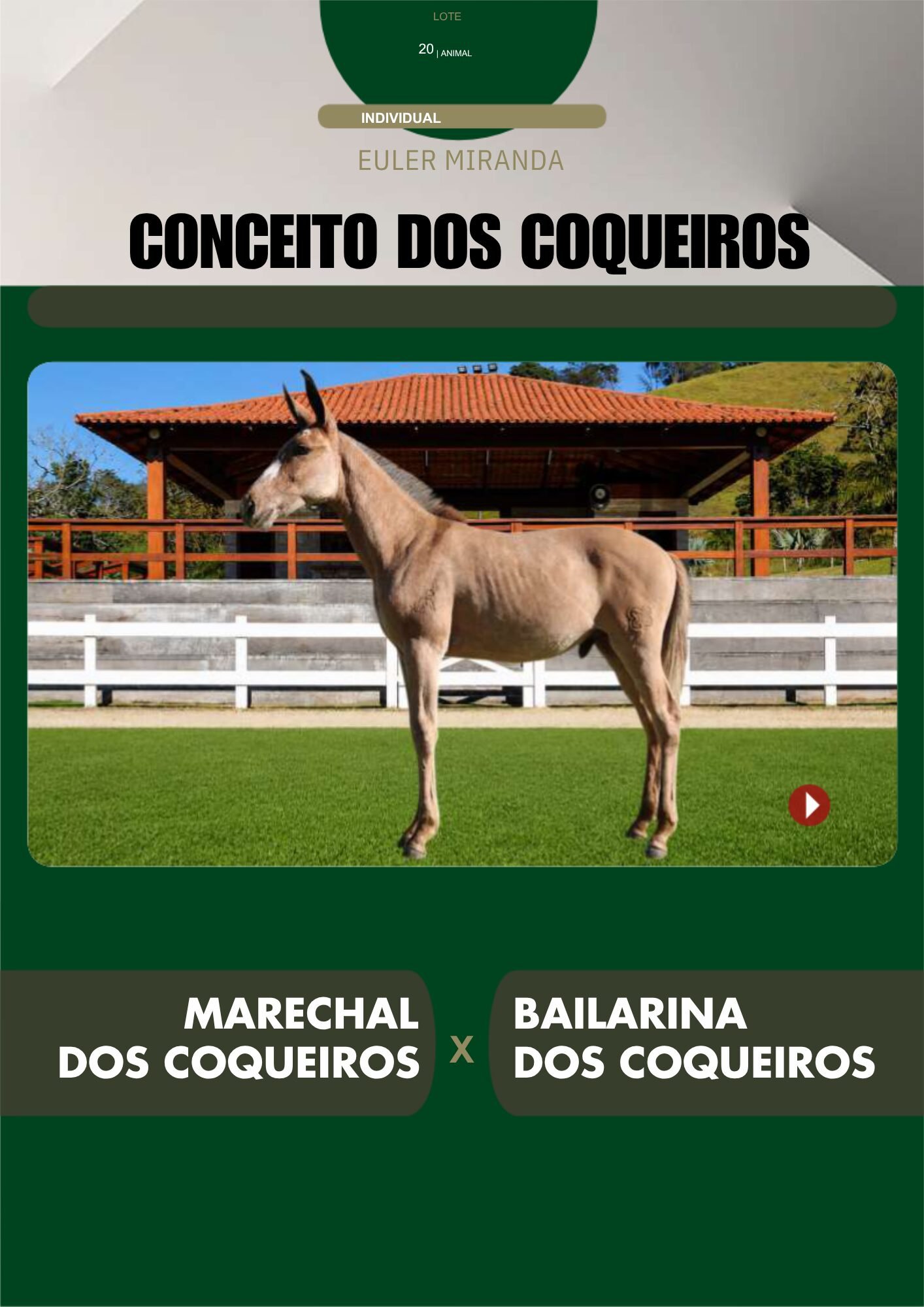 Lote 20 – CONCEITO DOS COQUEIROS - Imagem 2