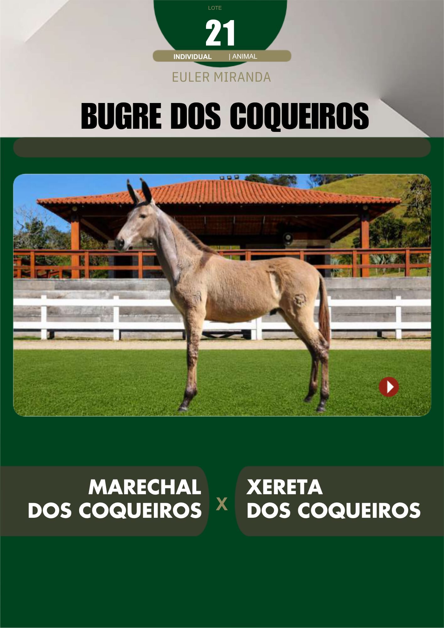 Lote 21 – BUGRE DOS COQUEIROS - Imagem 2