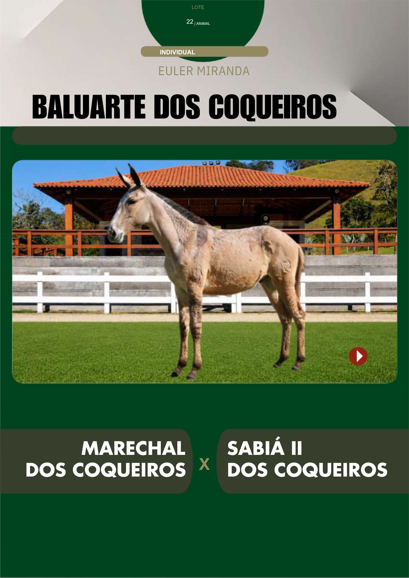 Lote 22 – BALUARTE DOS COQUEIROS - Imagem 2