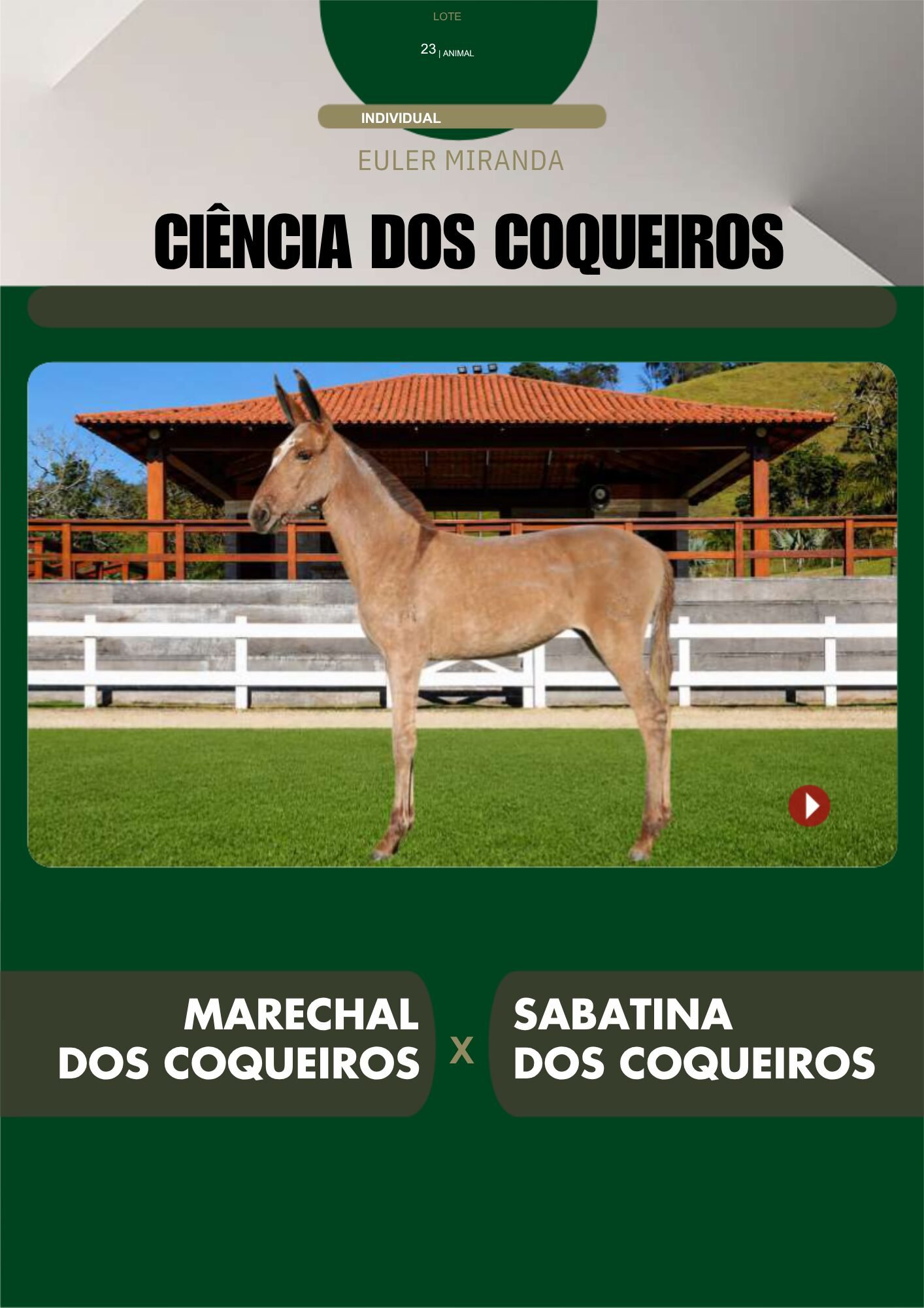 Lote 23 – CIÊNCIA DOS COQUEIROS - Imagem 2