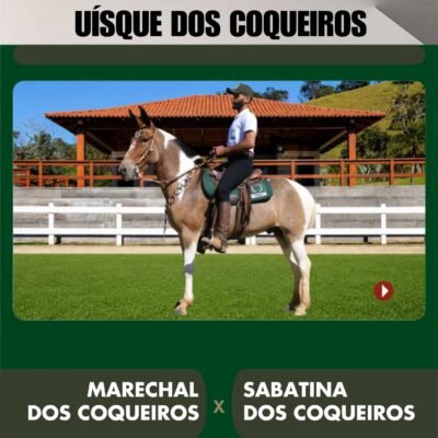 Lote 27 – UÍSQUE DOS COQUEIROS