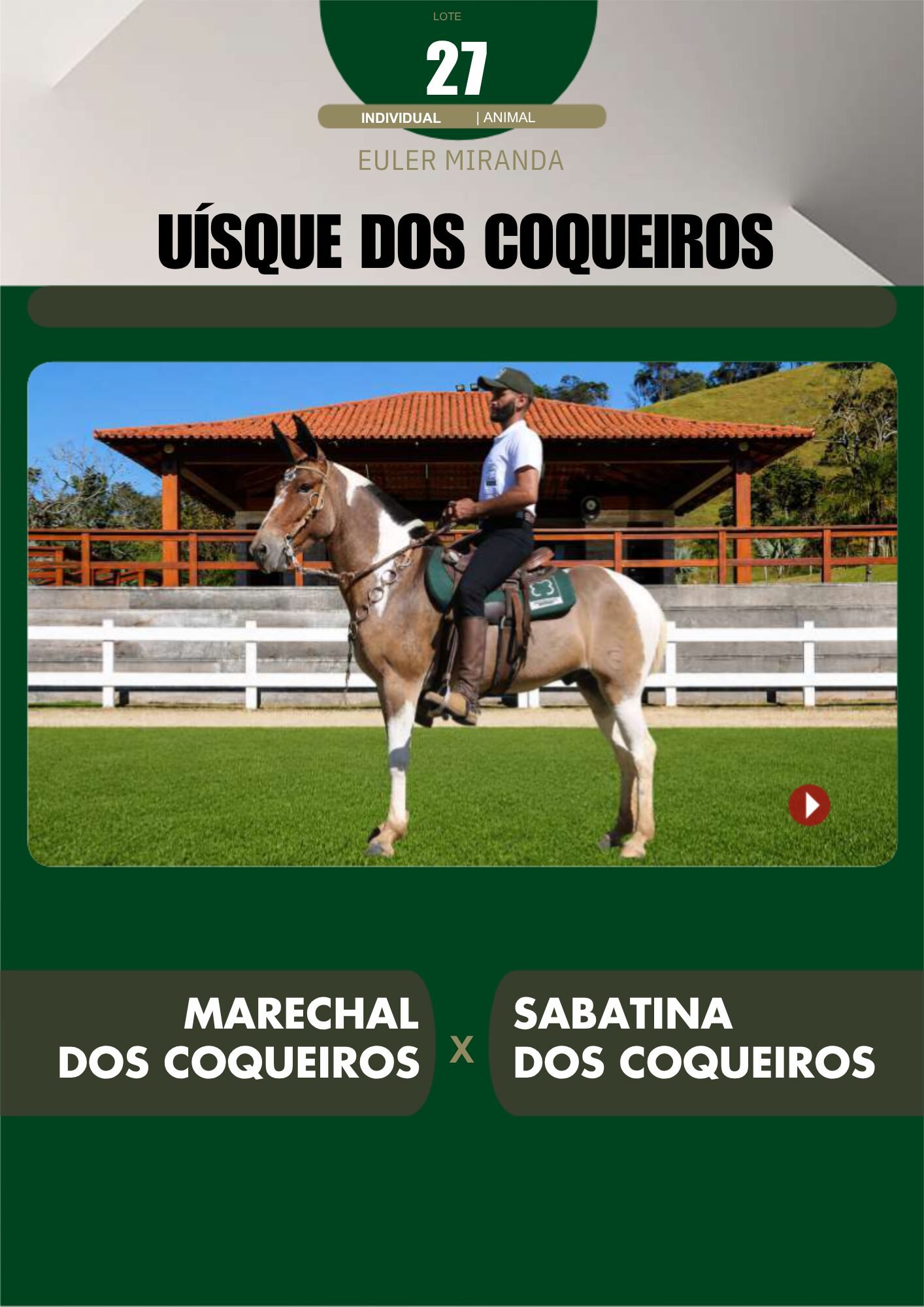 Lote 27 – UÍSQUE DOS COQUEIROS - Imagem 2