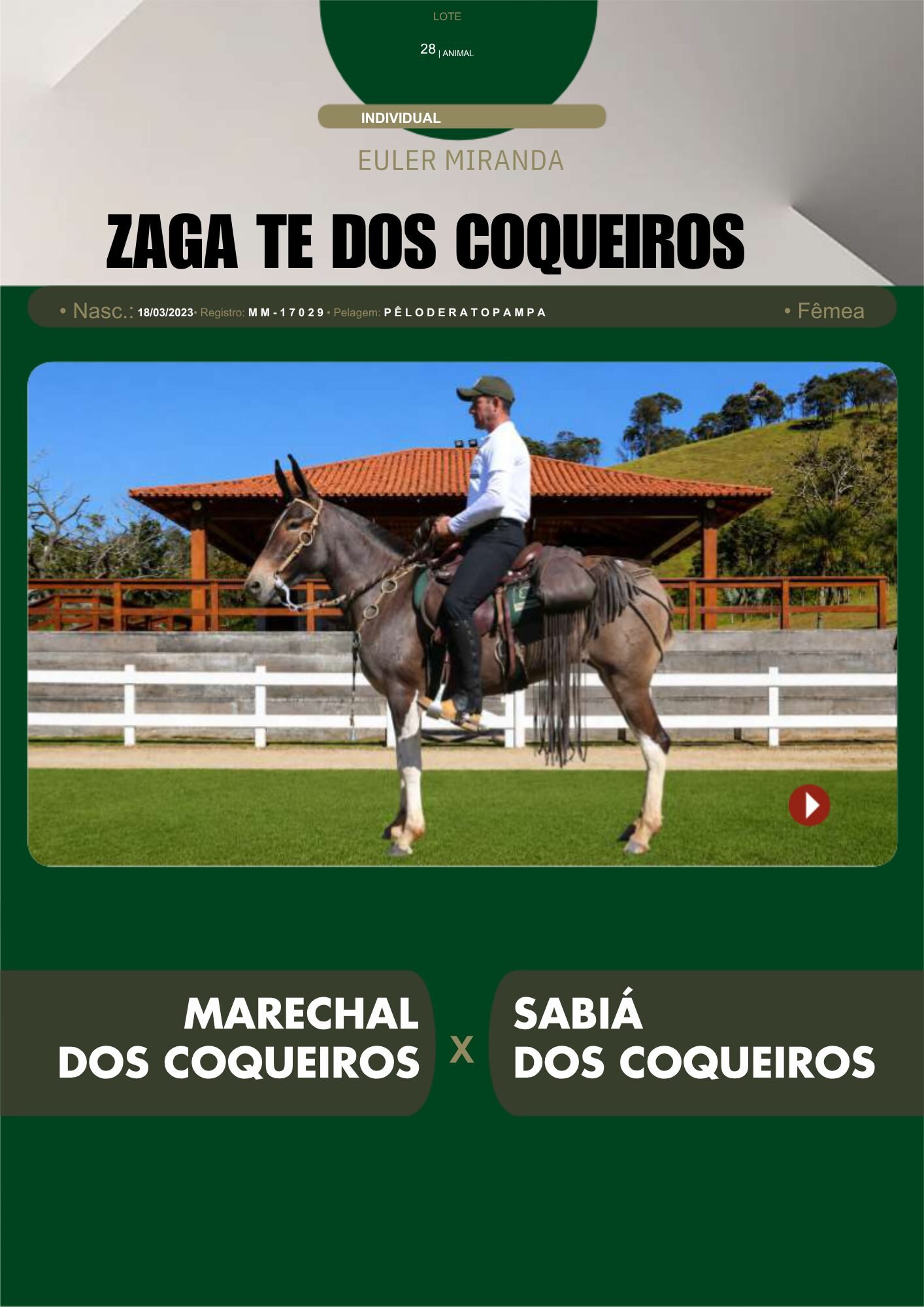 Lote 28 – ZAGA TE DOS COQUEIROS - Imagem 2