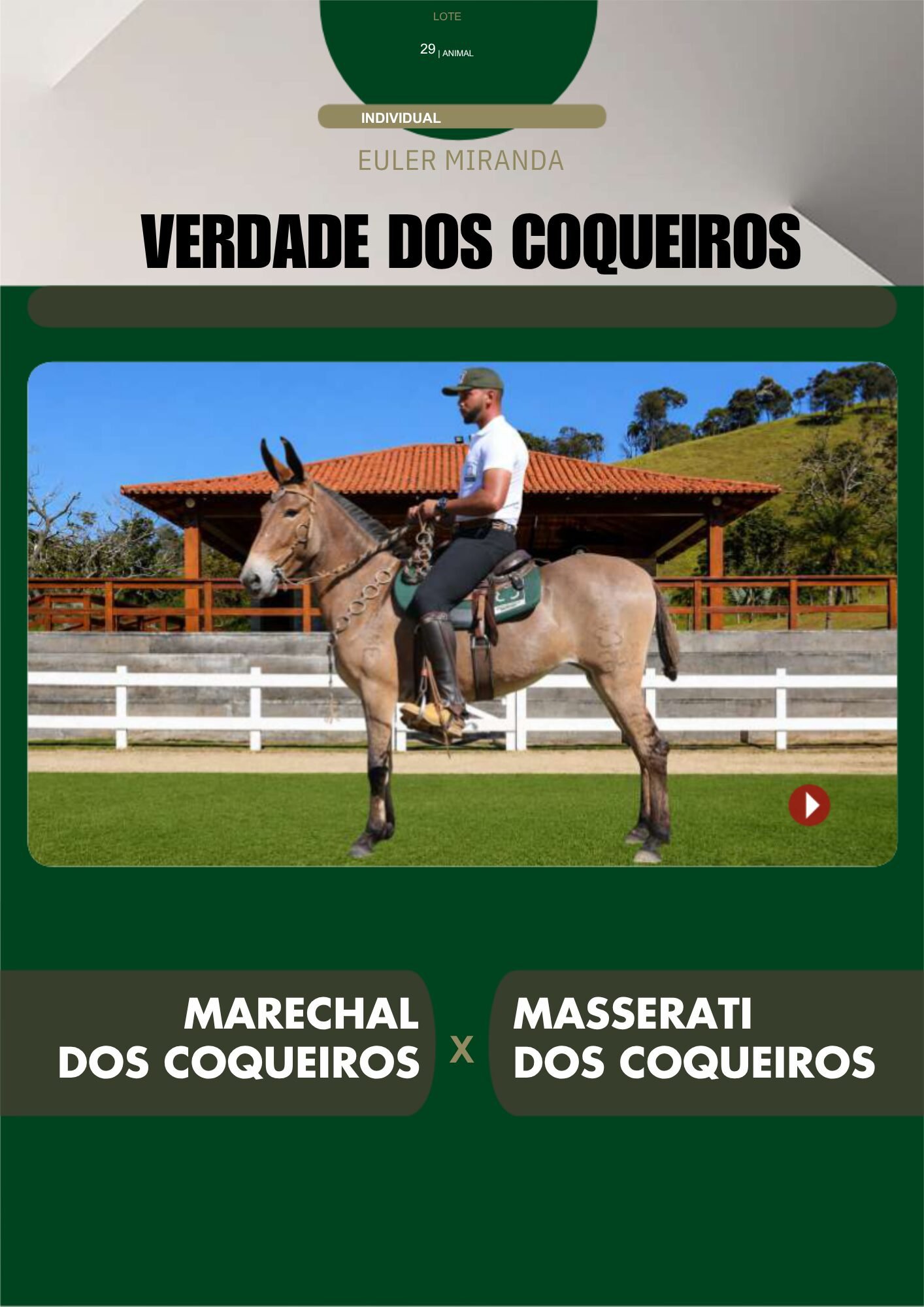 Lote 29 – VERDADE DOS COQUEIROS - Imagem 2