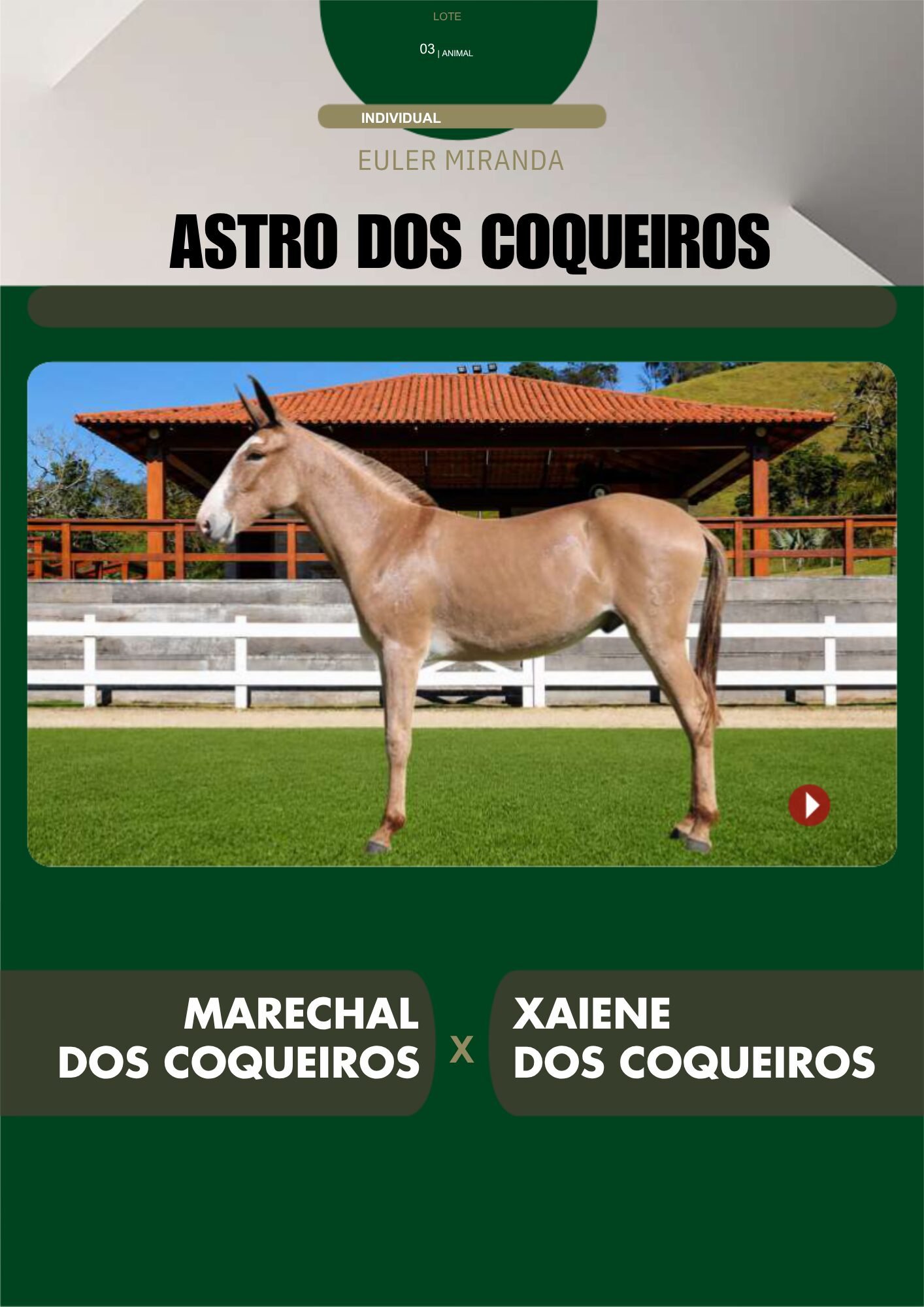 Lote 03 – ASTRO DOS COQUEIROS - Imagem 2
