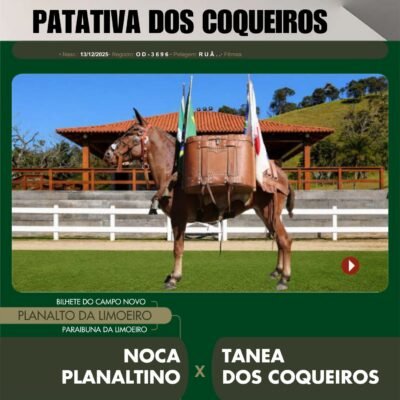 Lote 30 – PATATIVA DOS COQUEIROS