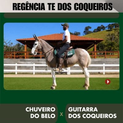 Lote 31 – REGÊNCIA TE DOS COQUEIROS