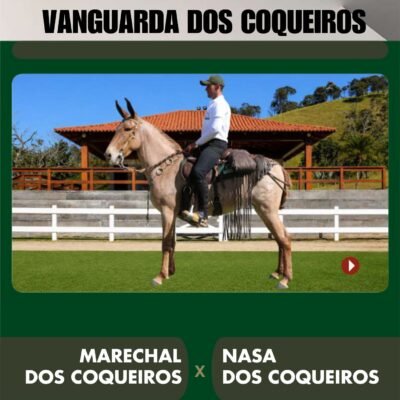 Lote 32 – VANGUARDA DOS COQUEIROS