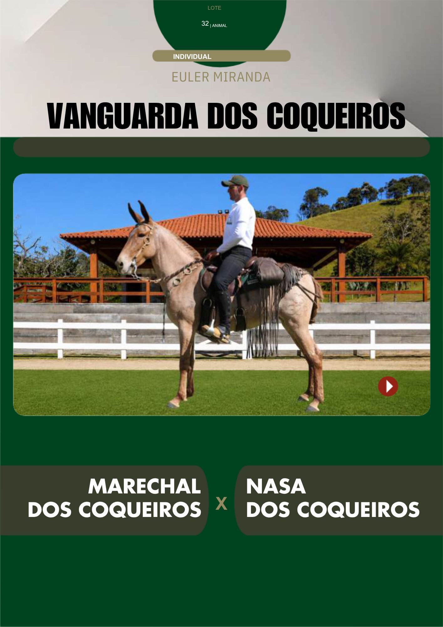 Lote 32 – VANGUARDA DOS COQUEIROS - Imagem 2