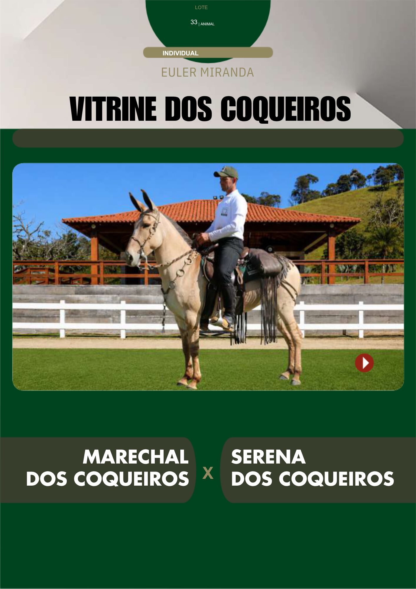 Lote 33 – VITRINE DOS COQUEIROS - Imagem 2