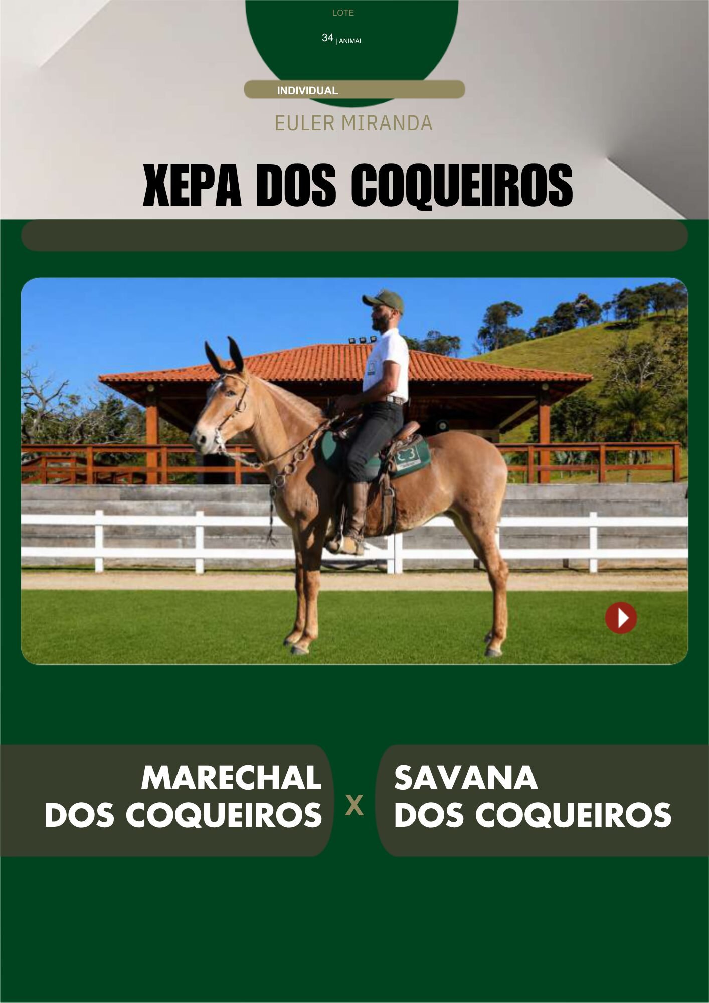 Lote 34 – XEPA DOS COQUEIROS - Imagem 2