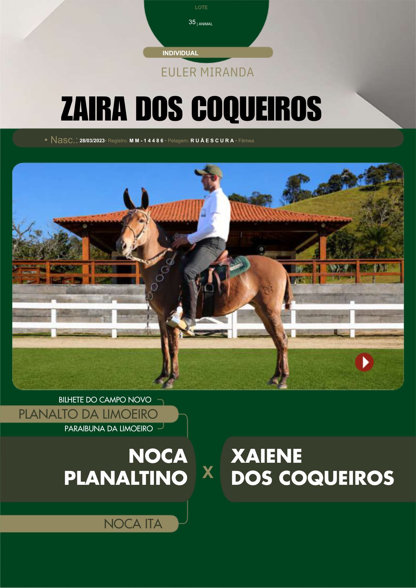 Lote 35 – ZAIRA DOS COQUEIROS - Imagem 2