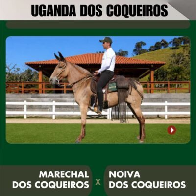 Lote 36 – UGANDA DOS COQUEIROS