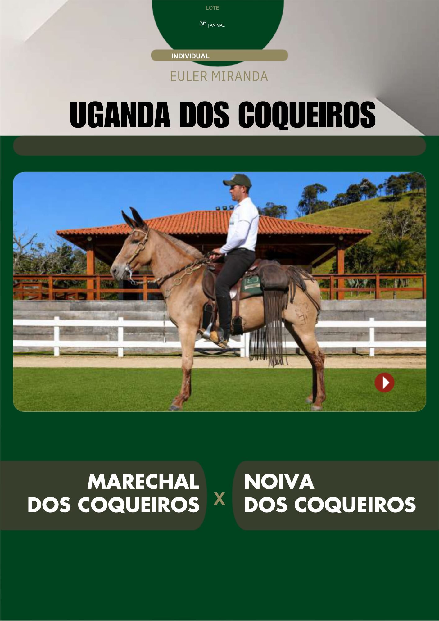 Lote 36 – UGANDA DOS COQUEIROS - Imagem 2