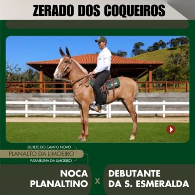 Lote 38 – ZERADO DOS COQUEIROS