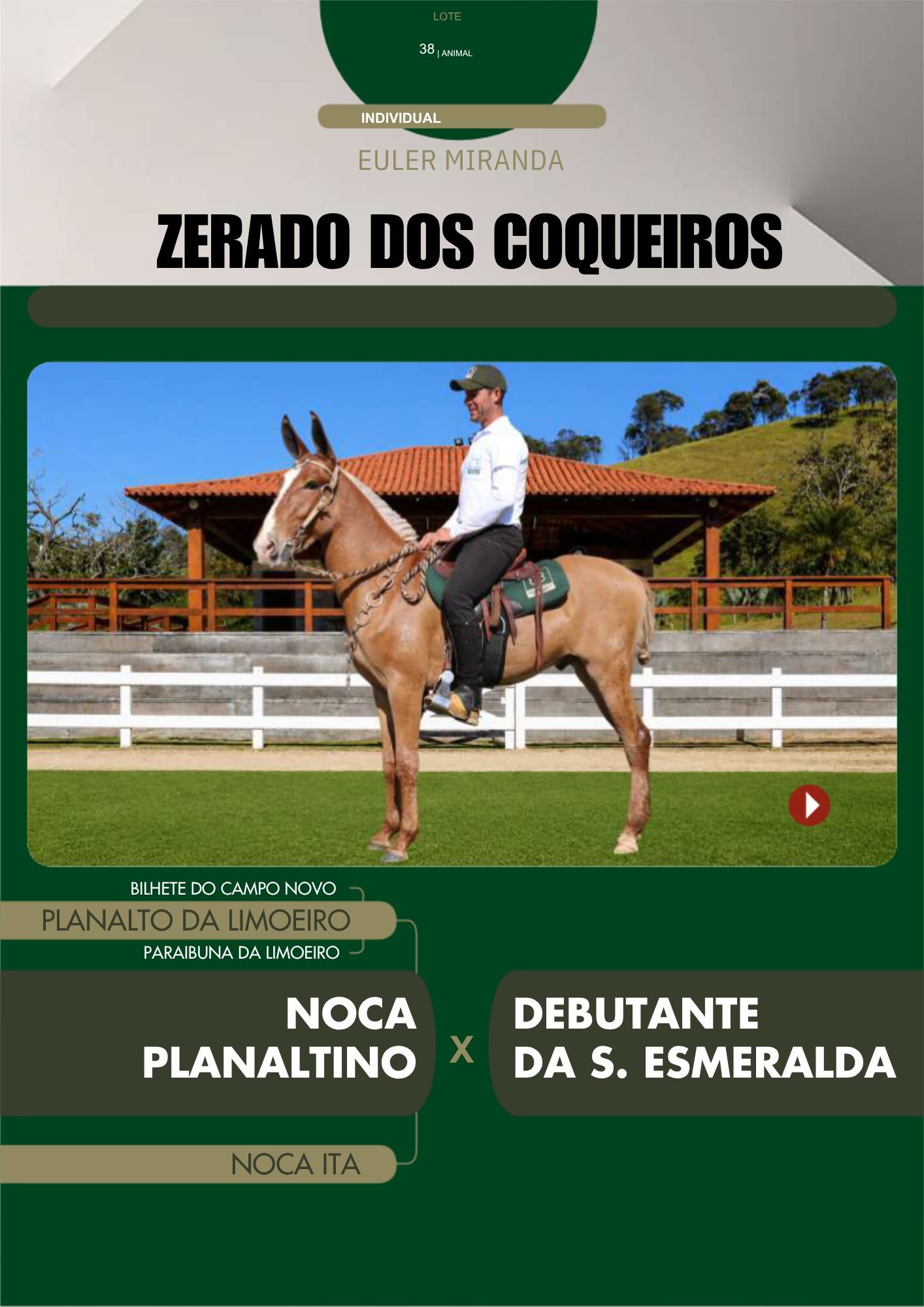 Lote 38 – ZERADO DOS COQUEIROS - Imagem 2