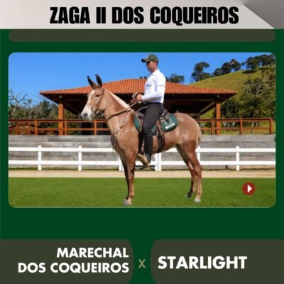 Lote 39 – ZAGA II DOS COQUEIROS