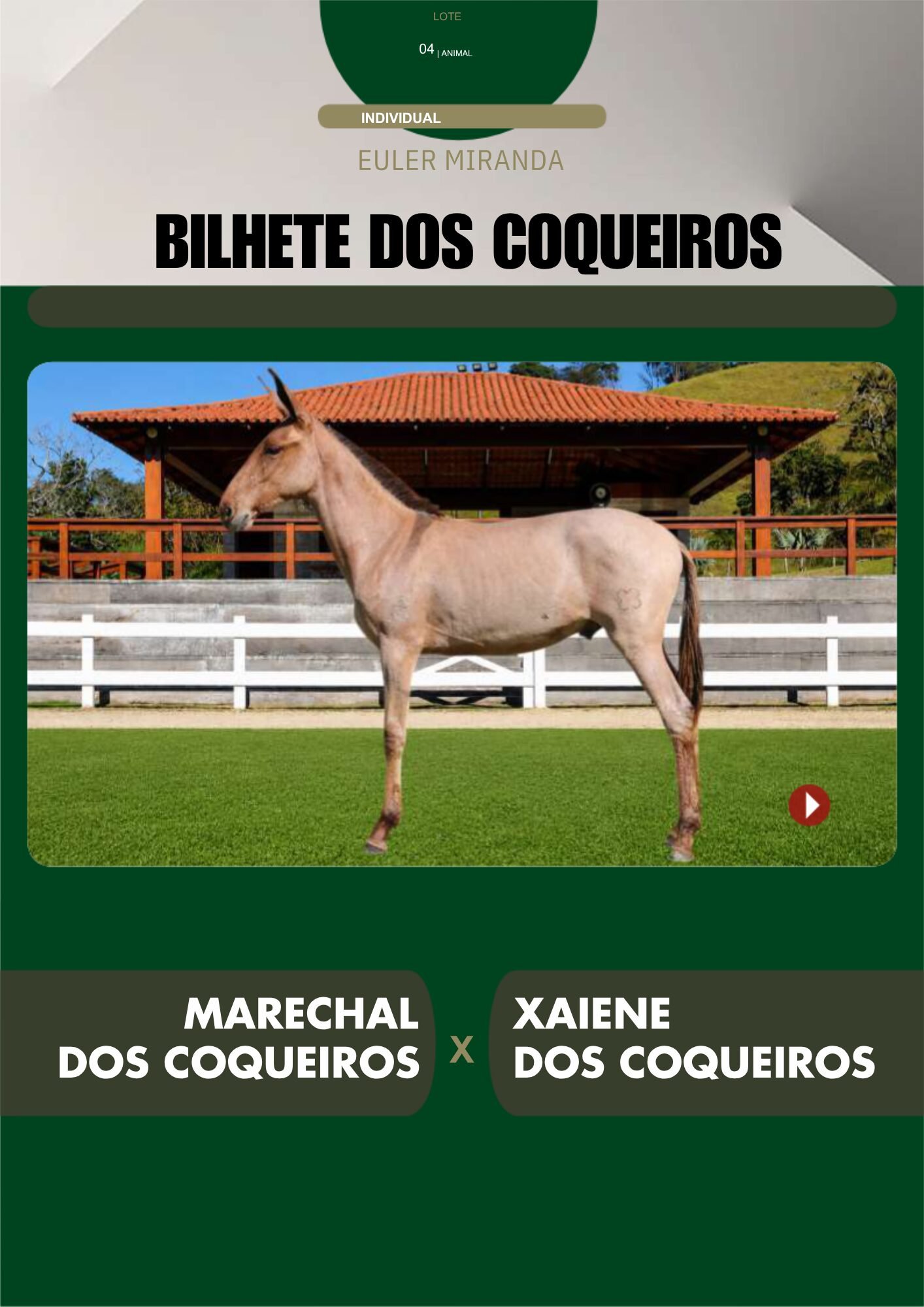 Lote 04 – BILHETE DOS COQUEIROS - Imagem 2