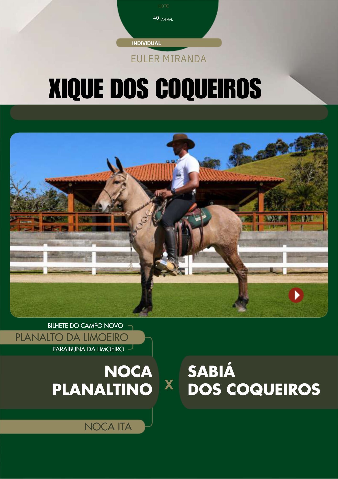 Lote 40 – XIQUE DOS COQUEIROS - Imagem 2