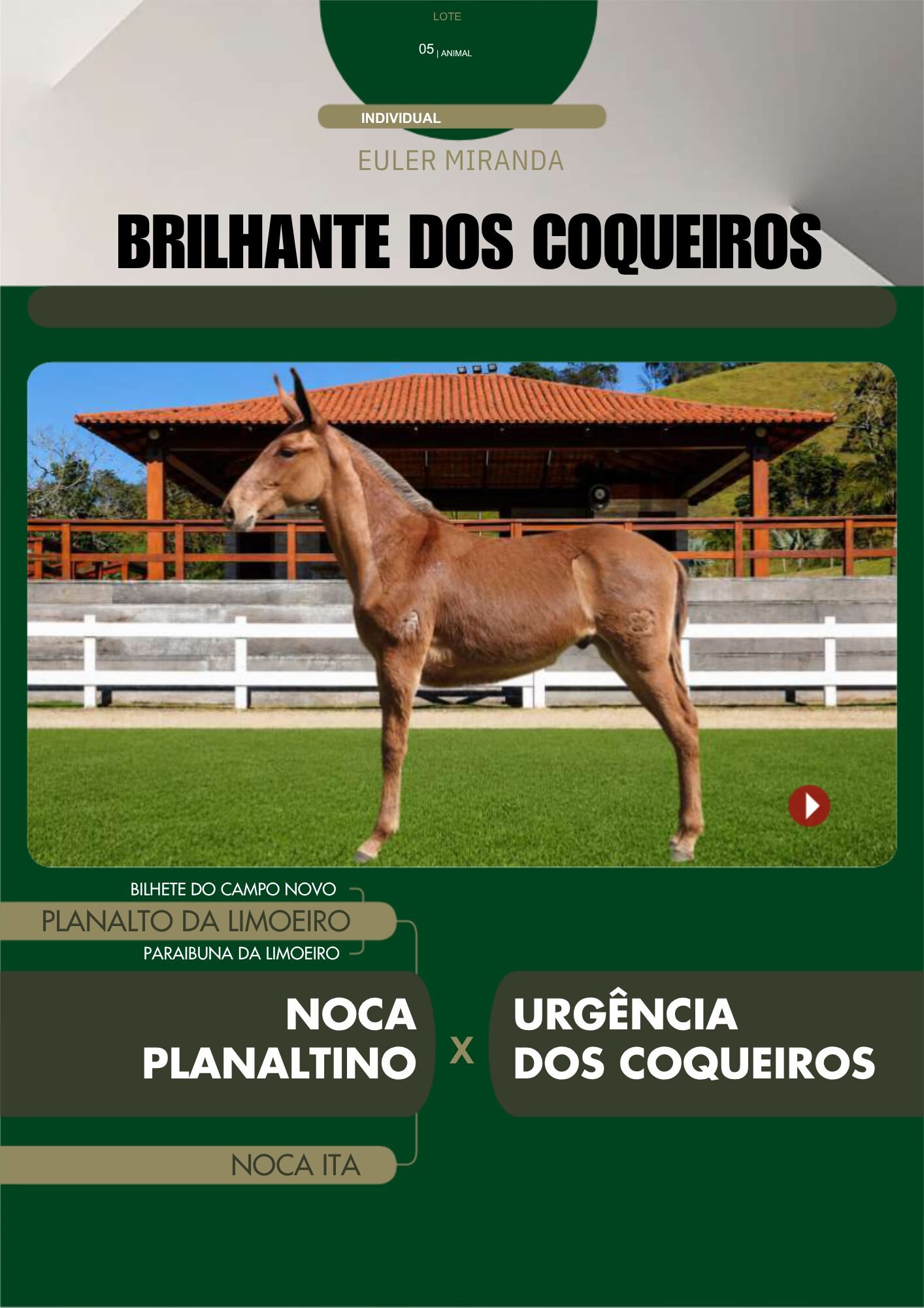 Lote 05 – BRILHANTE DOS COQUEIROS - Imagem 2
