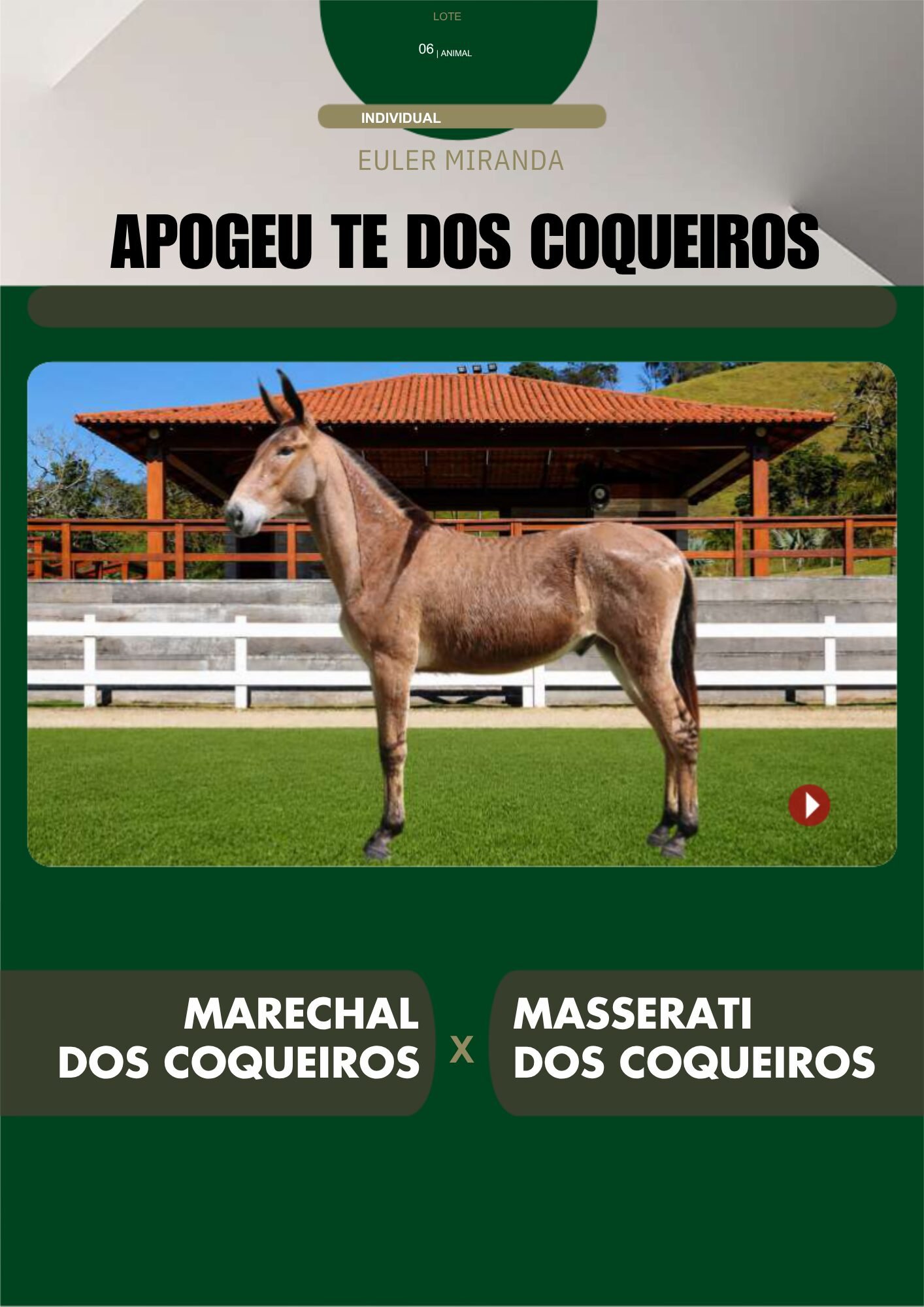 Lote 06 – APOGEU TE DOS COQUEIROS - Imagem 2