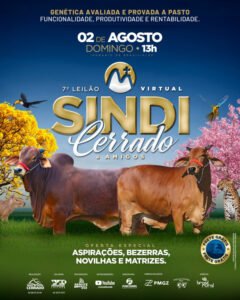 7-leilao-sindi-cerrado-amigos