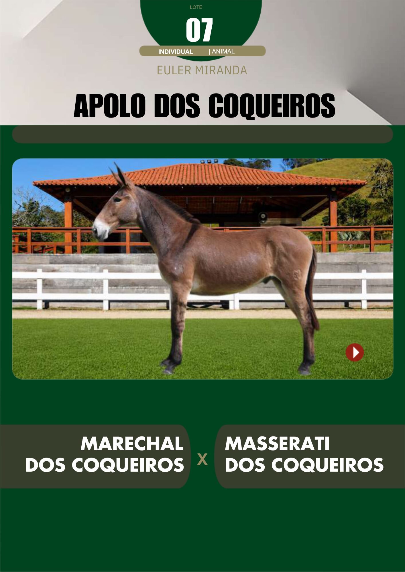 Lote 07 – APOLO DOS COQUEIROS - Imagem 2