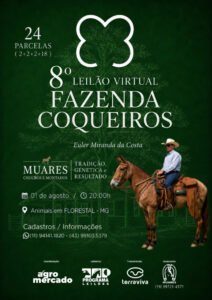 8-leilao-virtual-fazenda-coqueiros