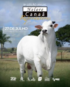 9-leilao-anual-nelore-canaa-reprodutores