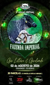 9-leilao-virtual-fazenda-imperial-gir-e-girolando