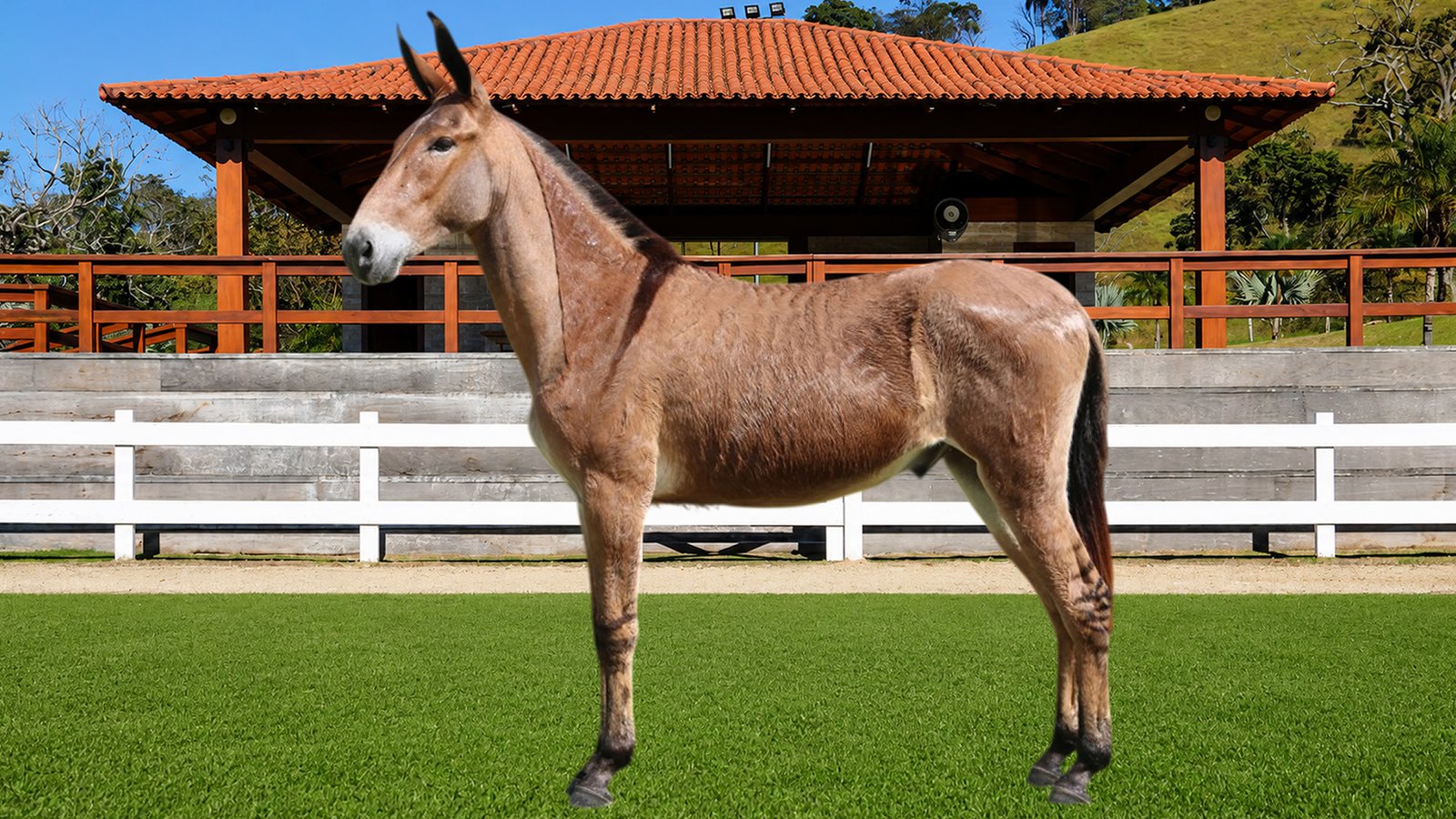 Lote 06 – APOGEU TE DOS COQUEIROS