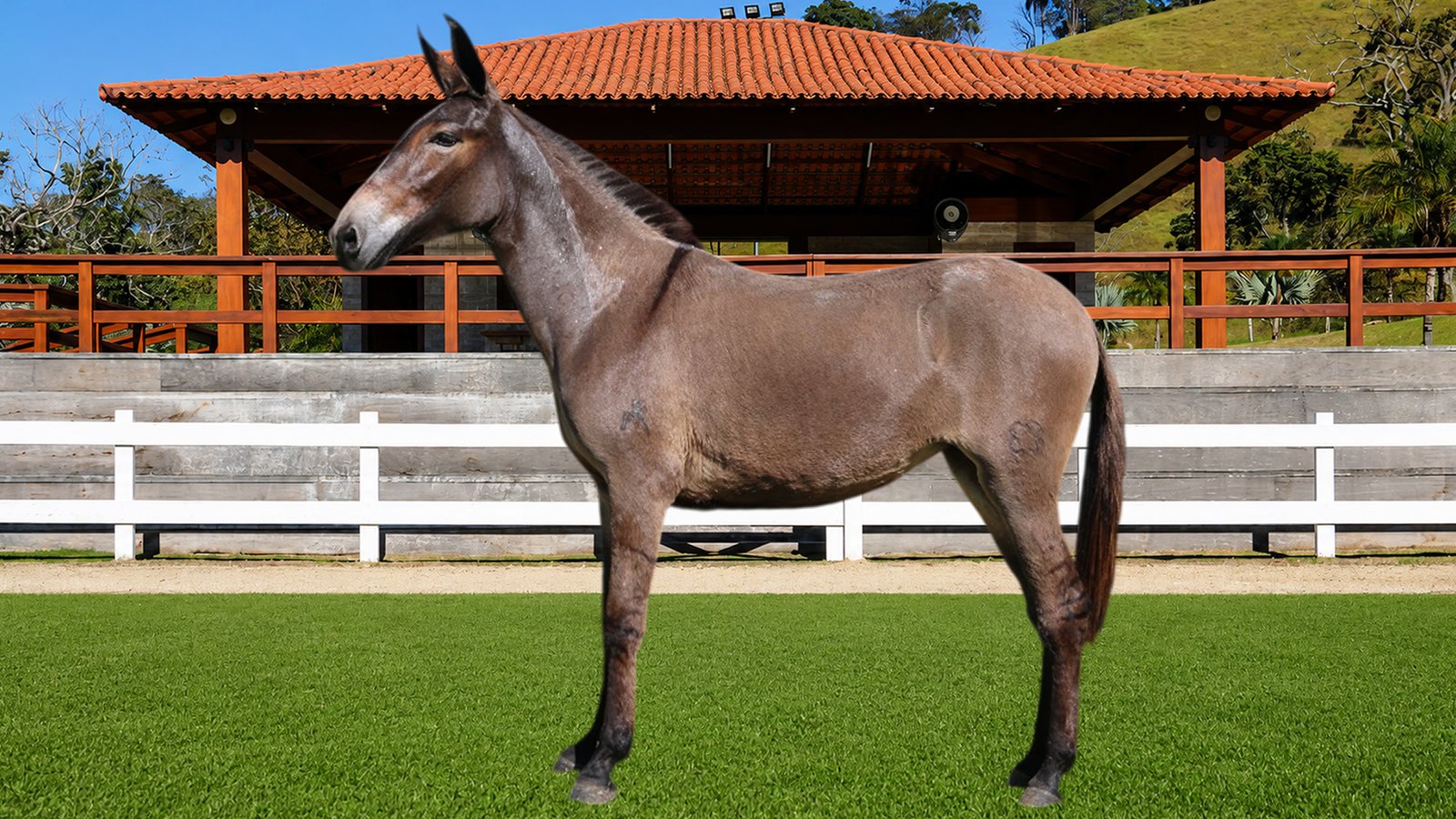 Lote 14 – ATRIZ DOS COQUEIROS