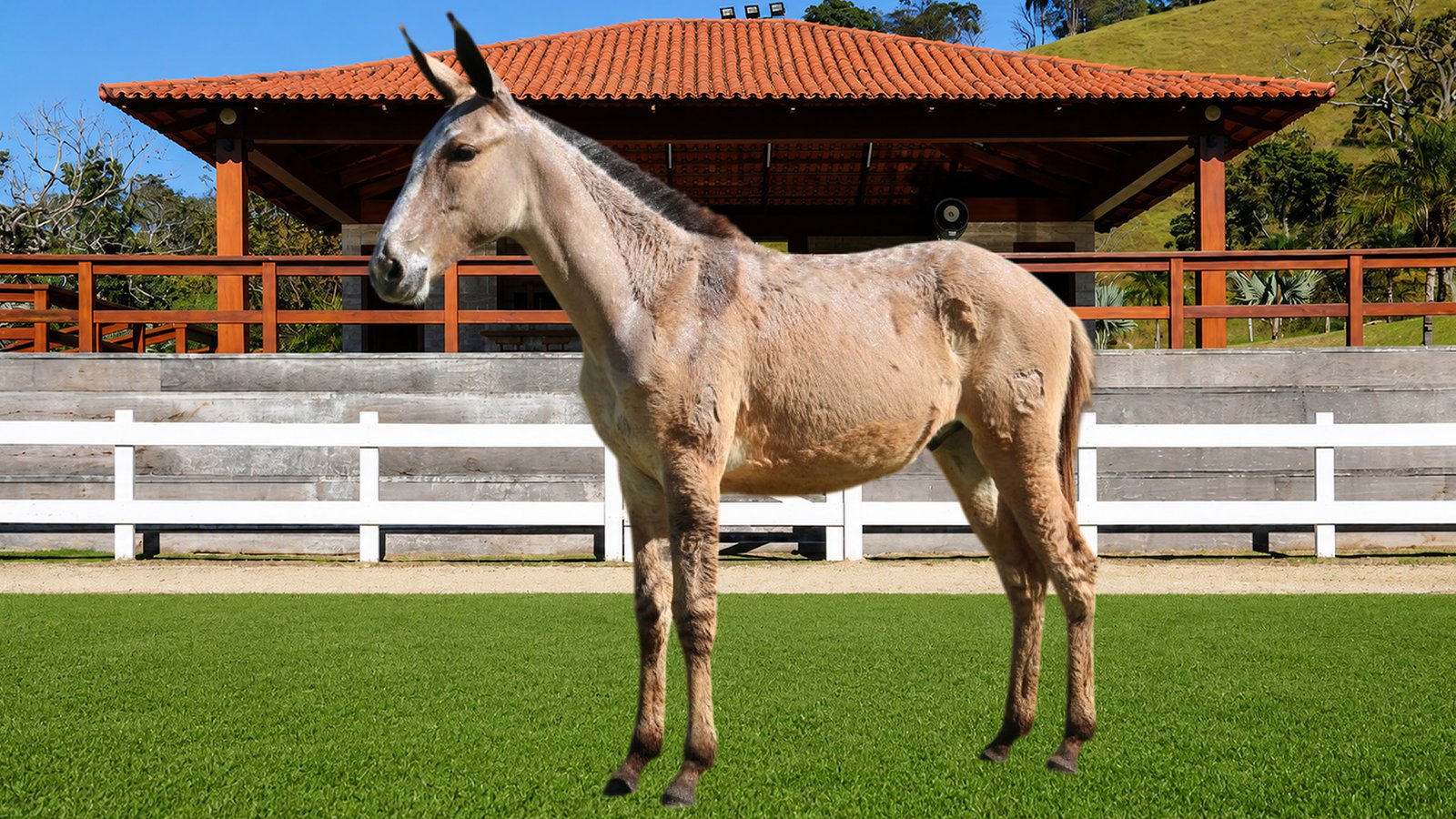 Lote 22 – BALUARTE DOS COQUEIROS