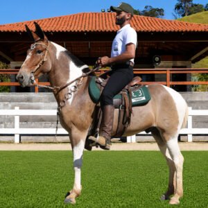 Lote 27 - UÍSQUE DOS COQUEIROS