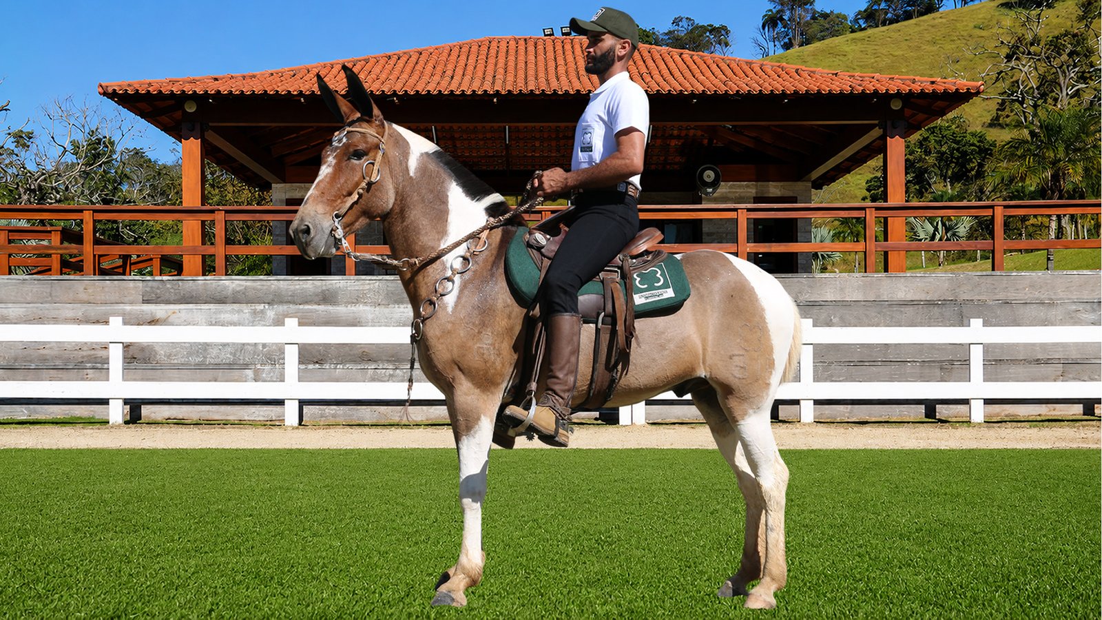 Lote 27 – UÍSQUE DOS COQUEIROS