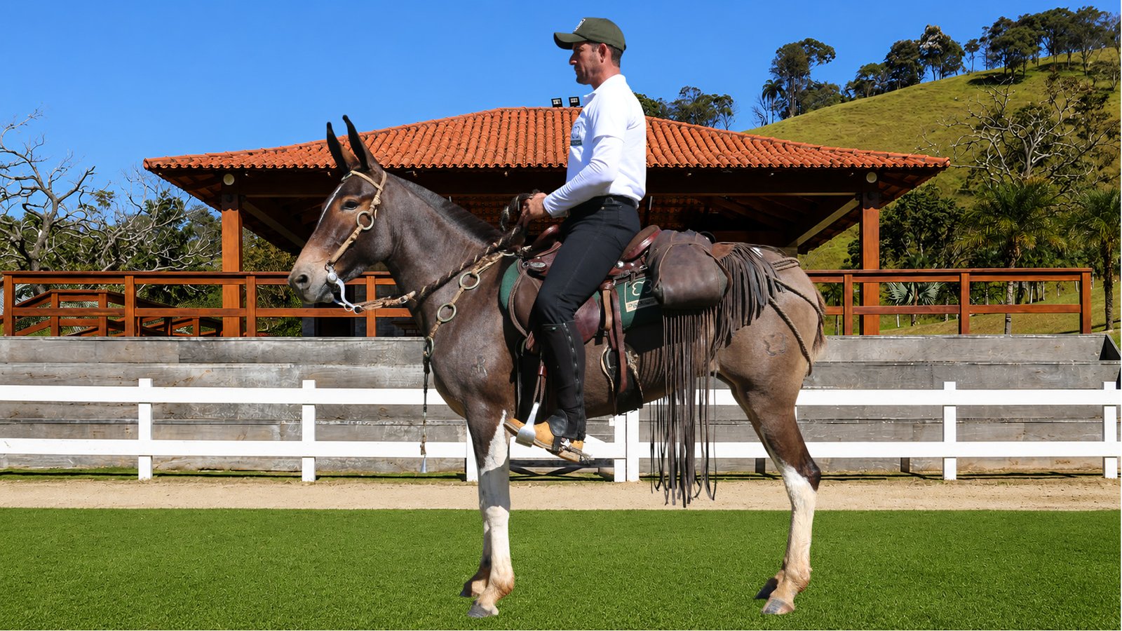 Lote 28 – ZAGA TE DOS COQUEIROS