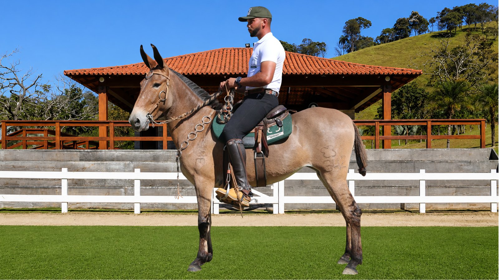 Lote 29 – VERDADE DOS COQUEIROS