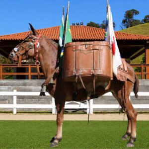 Lote 30 - PATATIVA DOS COQUEIROS
